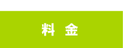補講レッスン料金 補講レッスン料金